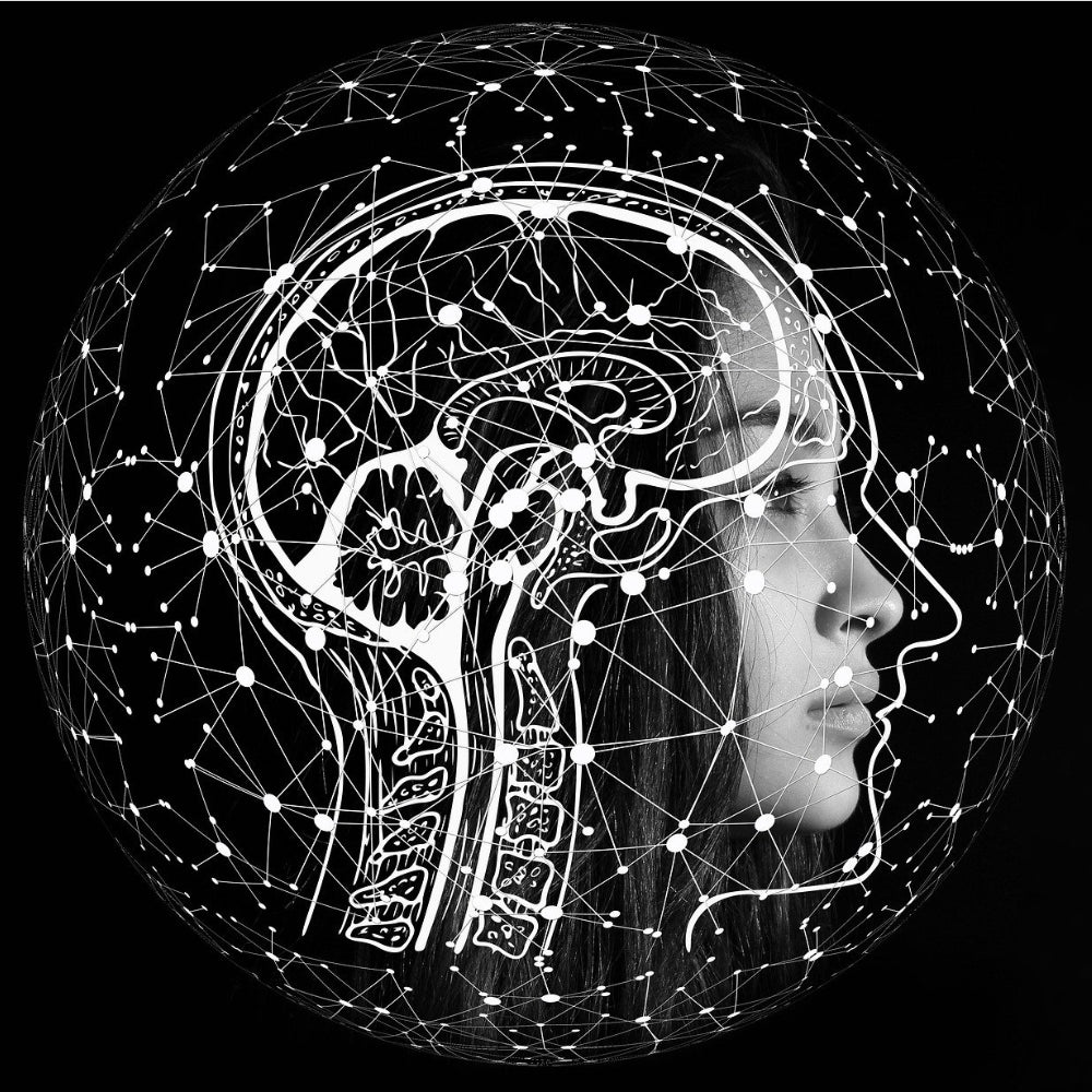 DNRS Dynamic Neural Retraining System