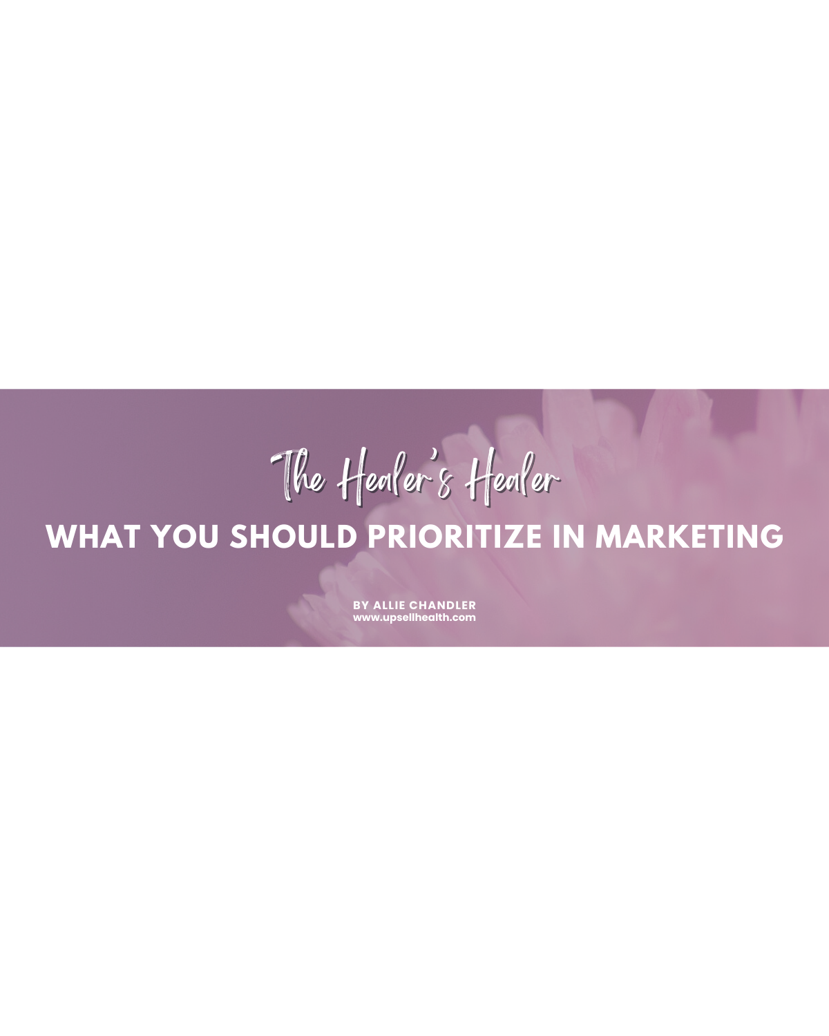 Healer's Healer Full Report