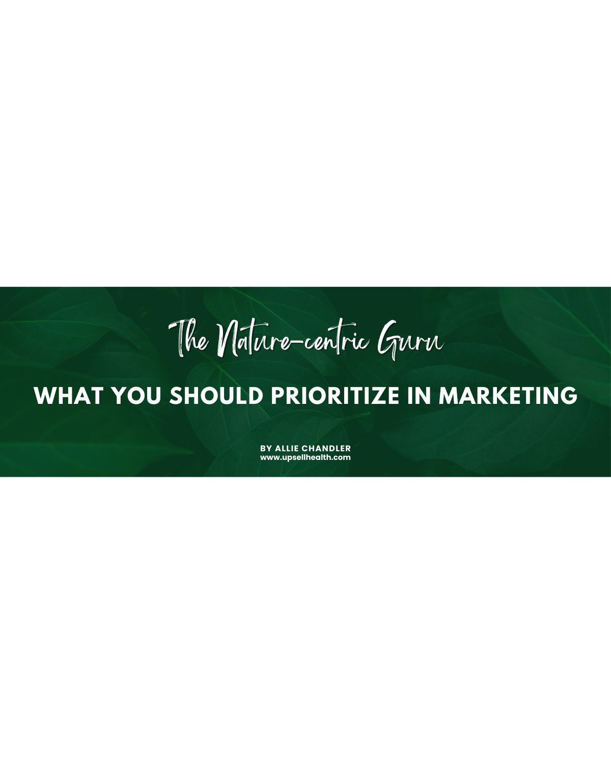 Nature-Centric Guru Full Report