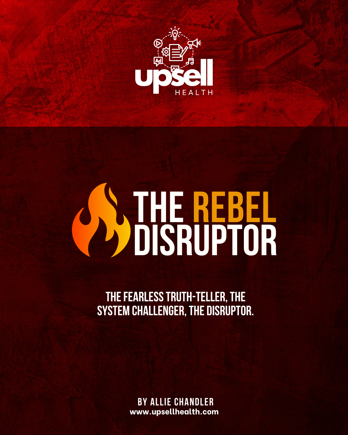Rebel Disruptor Full Report