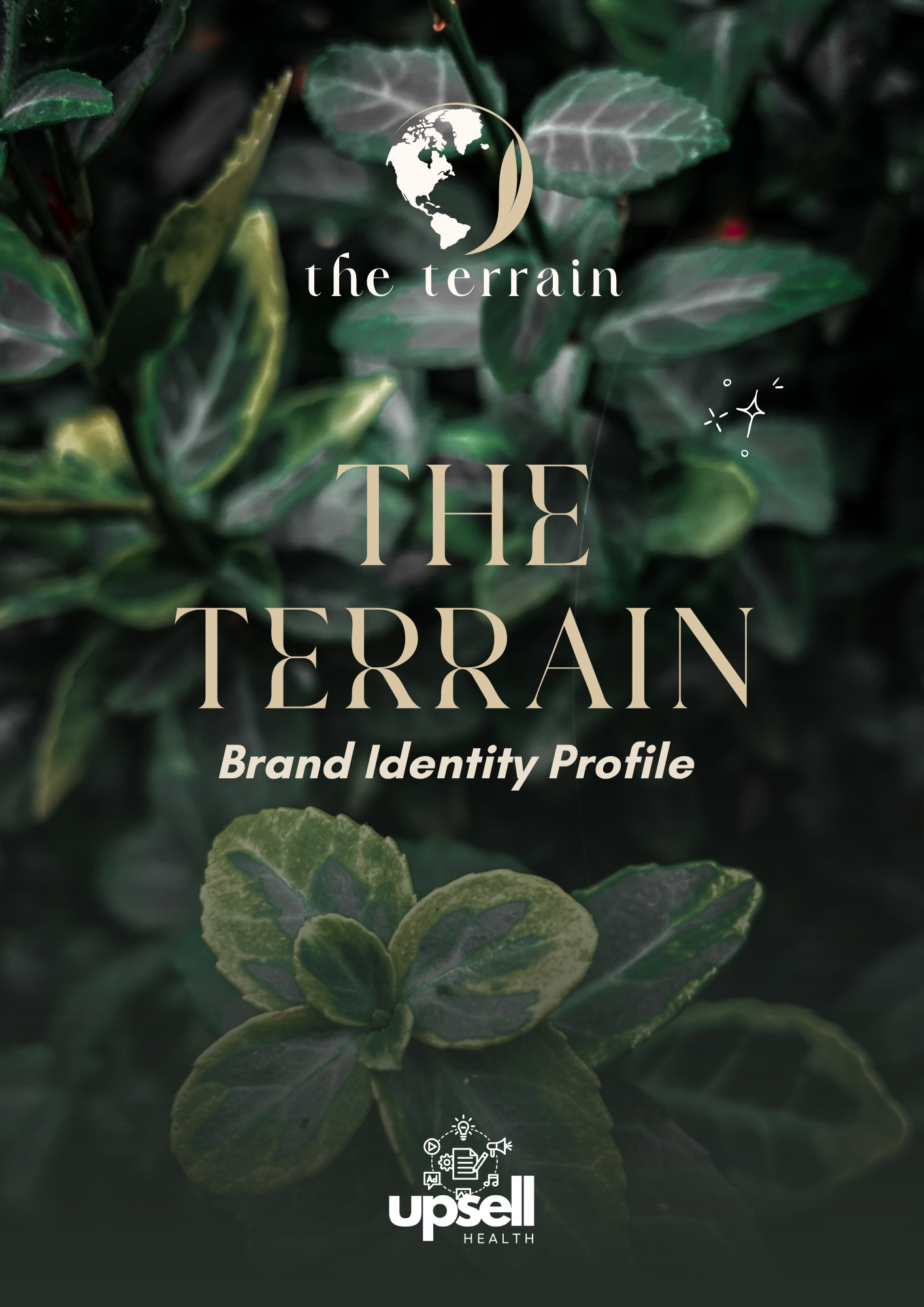 Brand Archetype Full Report - The Terrain