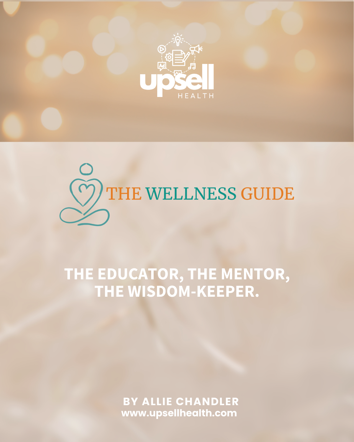 Wellness Guide Full Report